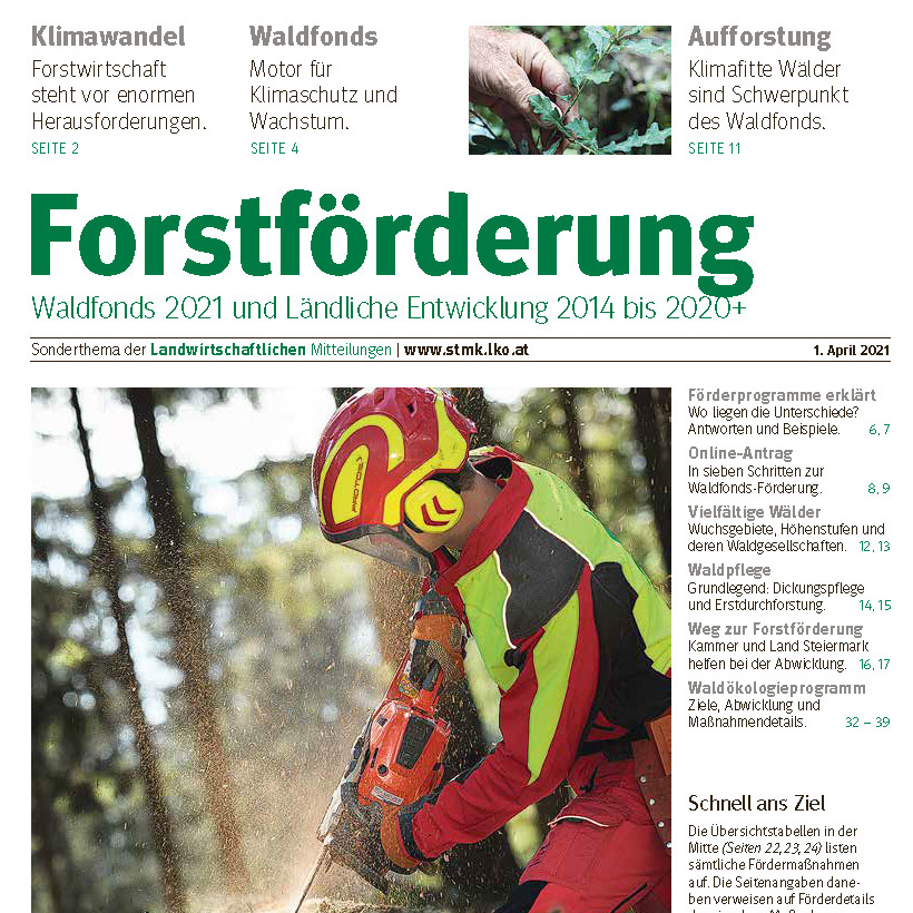 Förderungen Für Waldbesitzer | Waldstark